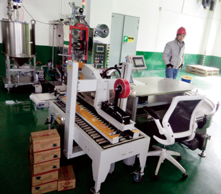 输送机集成系统